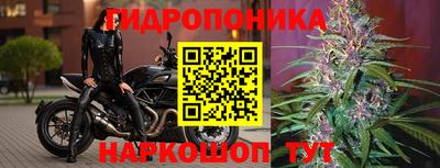 дмт Абакан