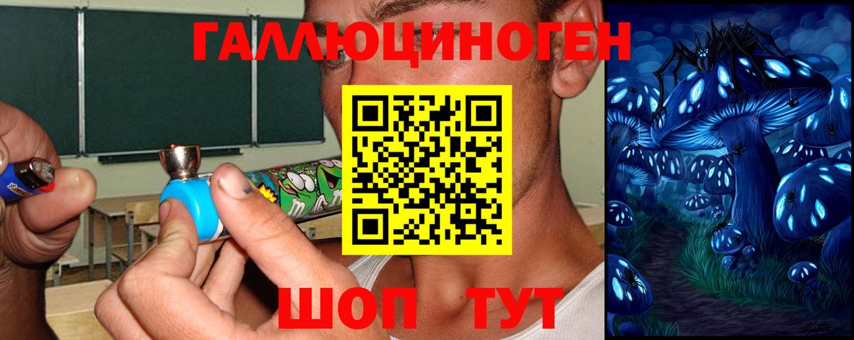 Псилоцибиновые грибы мицелий Альметьевск