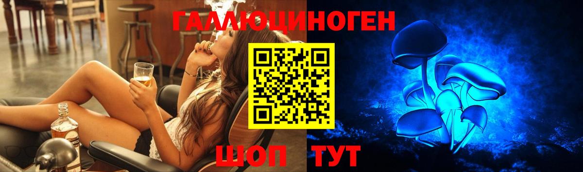 Псилоцибиновые грибы GOLDEN TEACHER  Псилоцибиновые грибы Cubensis  Вход с VPN  Альметьевск 